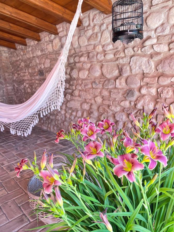 Le Mansarine Charme B&B Castellaro  Buitenkant foto